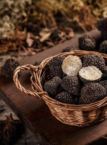 Truffes fraîches
