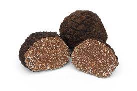 Truffes fraîches automne/bourgogne