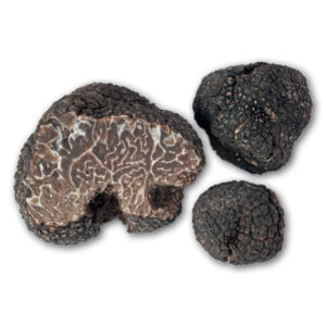 Truffes fraîches d'hiver