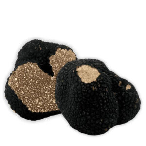 Truffes fraîches d'été